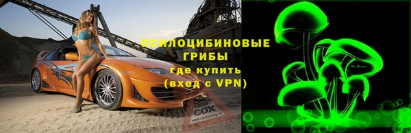 шишки Волосово