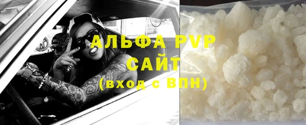 сатива Козельск