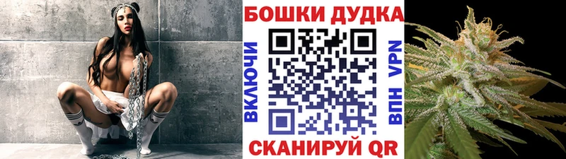 наркошоп  Духовщина  Конопля планчик 